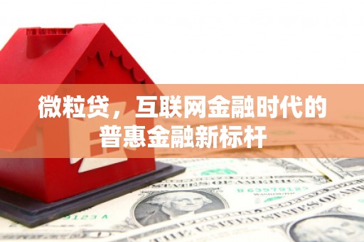 圣方济各堂区微粒贷，互联网金融时代的普惠金融新标杆