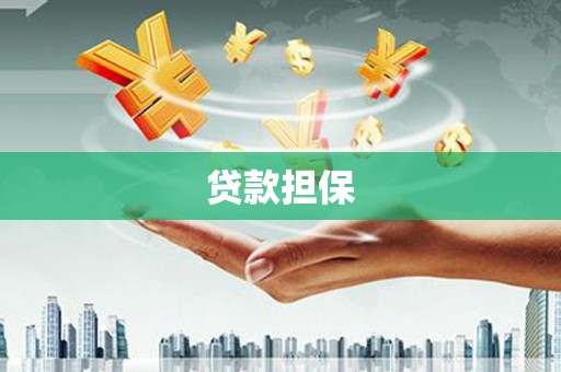 圣方济各堂区贷款担保