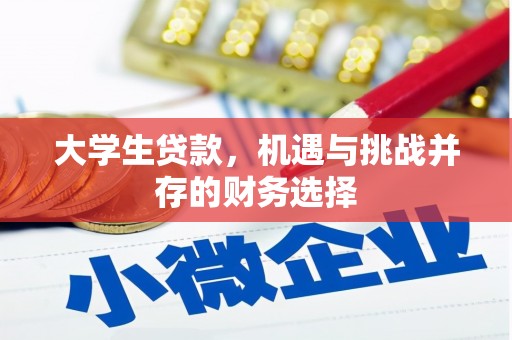 圣方济各堂区大学生贷款，机遇与挑战并存的财务选择