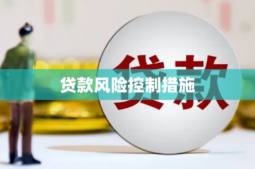 圣方济各堂区贷款风险控制措施