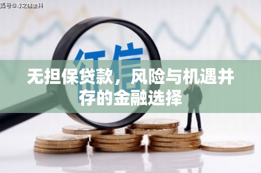 圣方济各堂区无担保贷款，风险与机遇并存的金融选择
