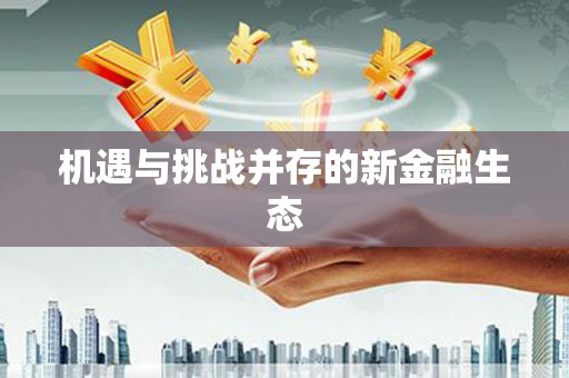 圣方济各堂区机遇与挑战并存的新金融生态