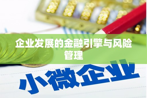 圣方济各堂区企业发展的金融引擎与风险管理