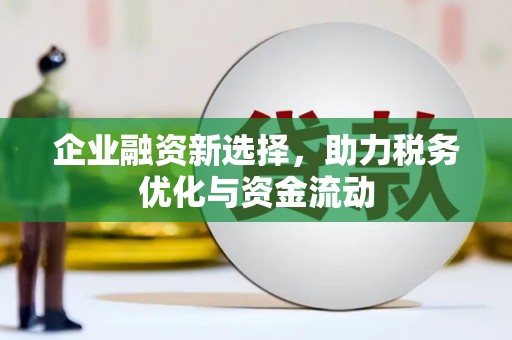 圣方济各堂区企业融资新选择，助力税务优化与资金流动