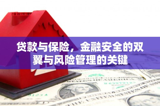 圣方济各堂区贷款与保险，金融安全的双翼与风险管理的关键