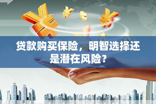 圣方济各堂区贷款购买保险，明智选择还是潜在风险？