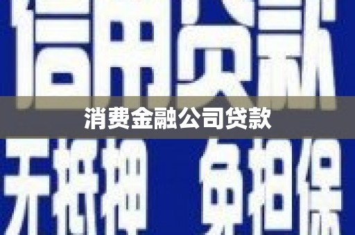 圣方济各堂区消费金融公司贷款