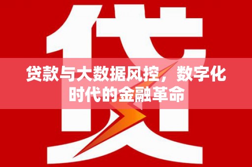 圣方济各堂区贷款与大数据风控，数字化时代的金融革命