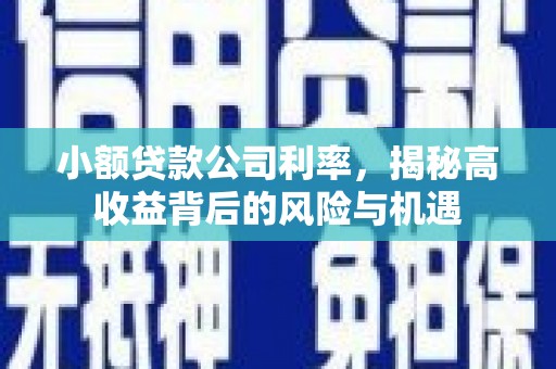 圣方济各堂区小额贷款公司利率，揭秘高收益背后的风险与机遇