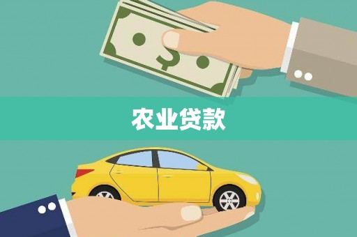 圣方济各堂区农业贷款