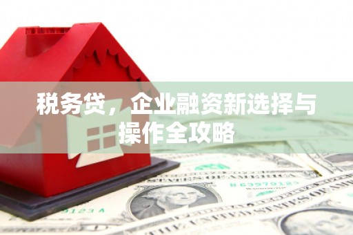 圣方济各堂区税务贷，企业融资新选择与操作全攻略