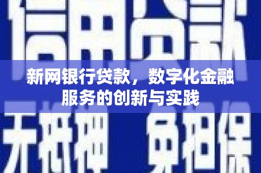 圣方济各堂区新网银行贷款，数字化金融服务的创新与实践