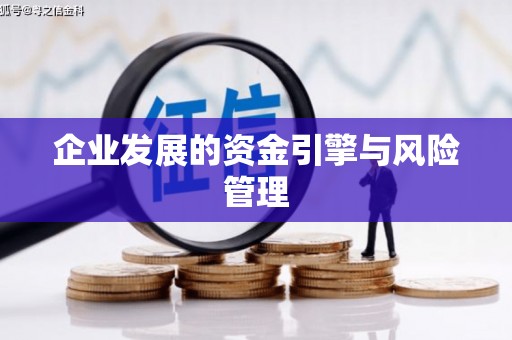 圣方济各堂区企业发展的资金引擎与风险管理