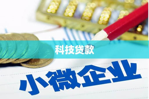 圣方济各堂区科技贷款