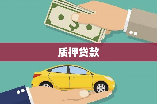 圣方济各堂区质押贷款