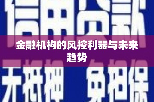圣方济各堂区金融机构的风控利器与未来趋势