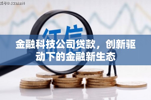 圣方济各堂区金融科技公司贷款，创新驱动下的金融新生态