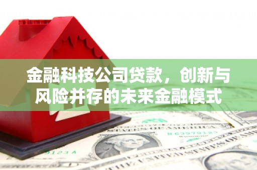 圣方济各堂区金融科技公司贷款，创新与风险并存的未来金融模式