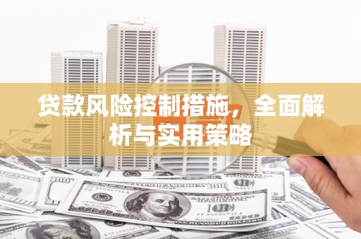 圣方济各堂区贷款风险控制措施，全面解析与实用策略