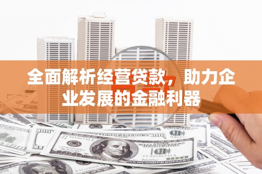 圣方济各堂区全面解析经营贷款，助力企业发展的金融利器