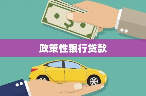 圣方济各堂区政策性银行贷款
