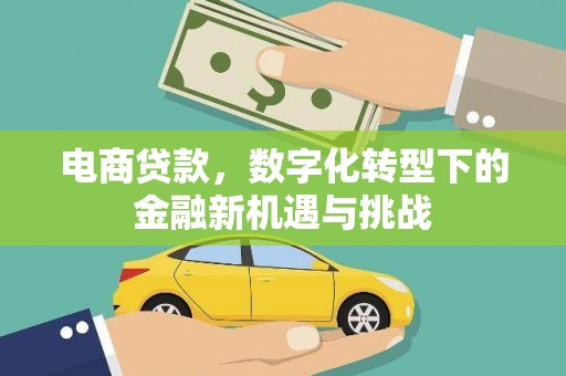 圣方济各堂区电商贷款，数字化转型下的金融新机遇与挑战
