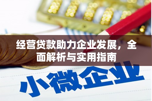 圣方济各堂区经营贷款助力企业发展，全面解析与实用指南