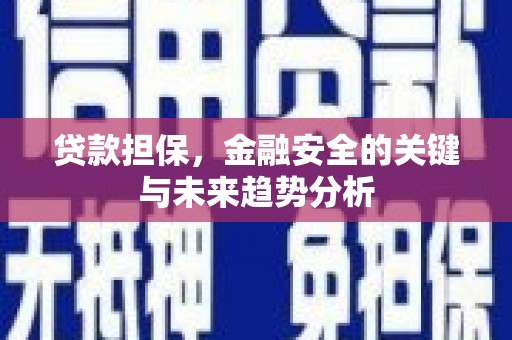 圣方济各堂区贷款担保，金融安全的关键与未来趋势分析