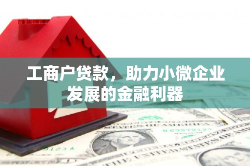圣方济各堂区工商户贷款，助力小微企业发展的金融利器