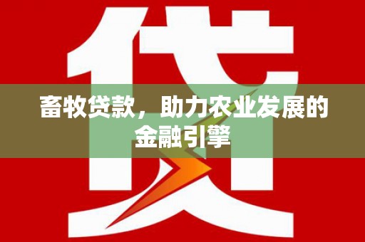 圣方济各堂区畜牧贷款，助力农业发展的金融引擎