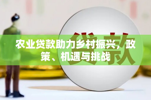 圣方济各堂区农业贷款助力乡村振兴，政策、机遇与挑战