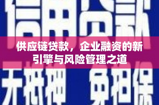 圣方济各堂区供应链贷款，企业融资的新引擎与风险管理之道