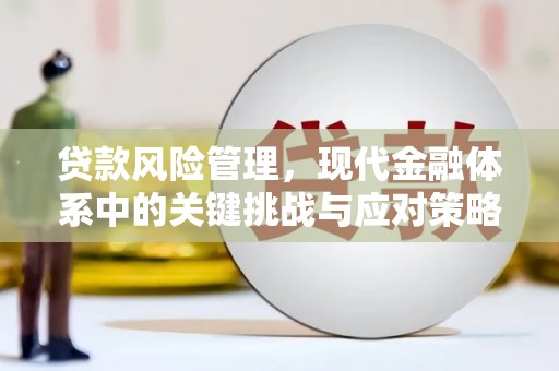 圣方济各堂区贷款风险管理，现代金融体系中的关键挑战与应对策略