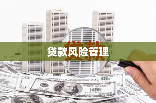 圣方济各堂区贷款风险管理
