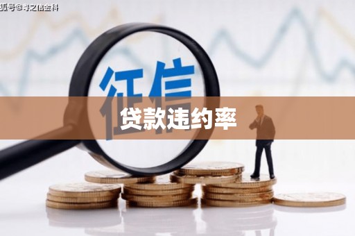 圣方济各堂区贷款违约率