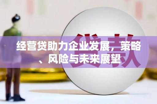 圣方济各堂区经营贷助力企业发展，策略、风险与未来展望