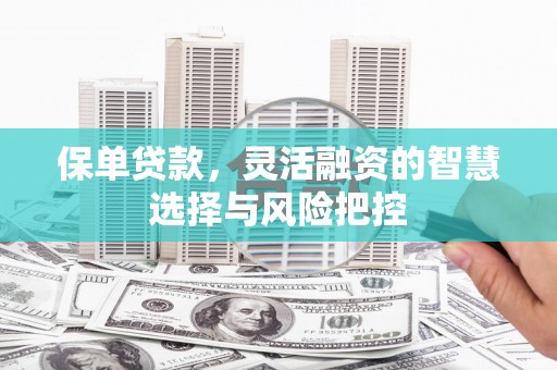 圣方济各堂区保单贷款，灵活融资的智慧选择与风险把控