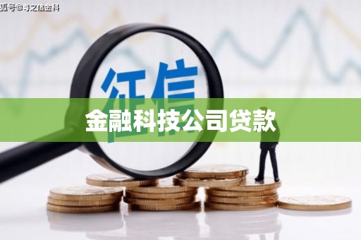 圣方济各堂区金融科技公司贷款