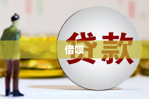 圣方济各堂区借呗