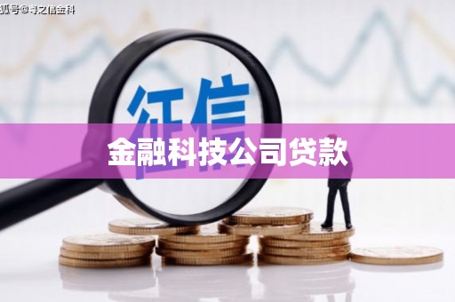 圣方济各堂区金融科技公司贷款