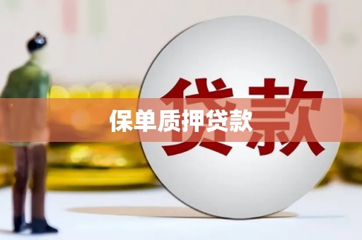 圣方济各堂区保单质押贷款
