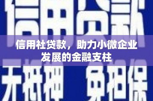圣方济各堂区信用社贷款，助力小微企业发展的金融支柱