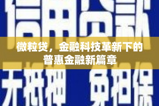 圣方济各堂区微粒贷，金融科技革新下的普惠金融新篇章