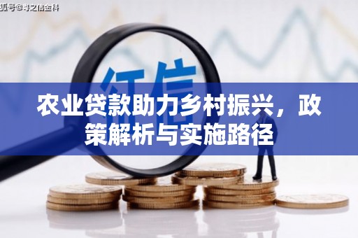 圣方济各堂区农业贷款助力乡村振兴，政策解析与实施路径