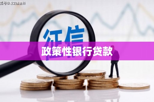 圣方济各堂区政策性银行贷款