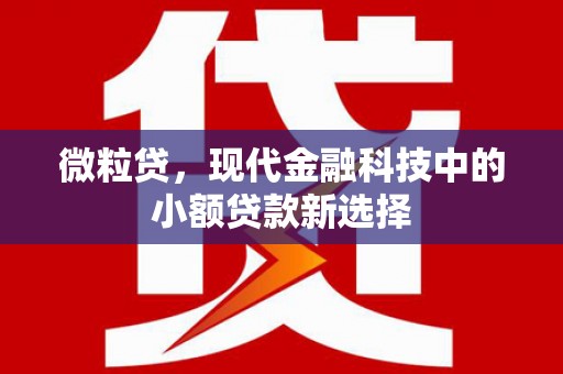 圣方济各堂区微粒贷，现代金融科技中的小额贷款新选择