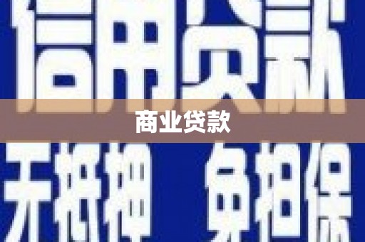 圣方济各堂区商业贷款