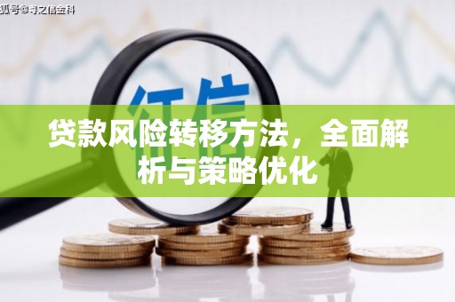 圣方济各堂区贷款风险转移方法，全面解析与策略优化
