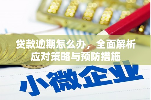 圣方济各堂区贷款逾期怎么办，全面解析应对策略与预防措施