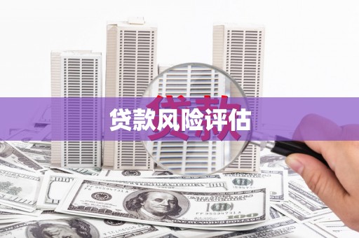 圣方济各堂区贷款风险评估